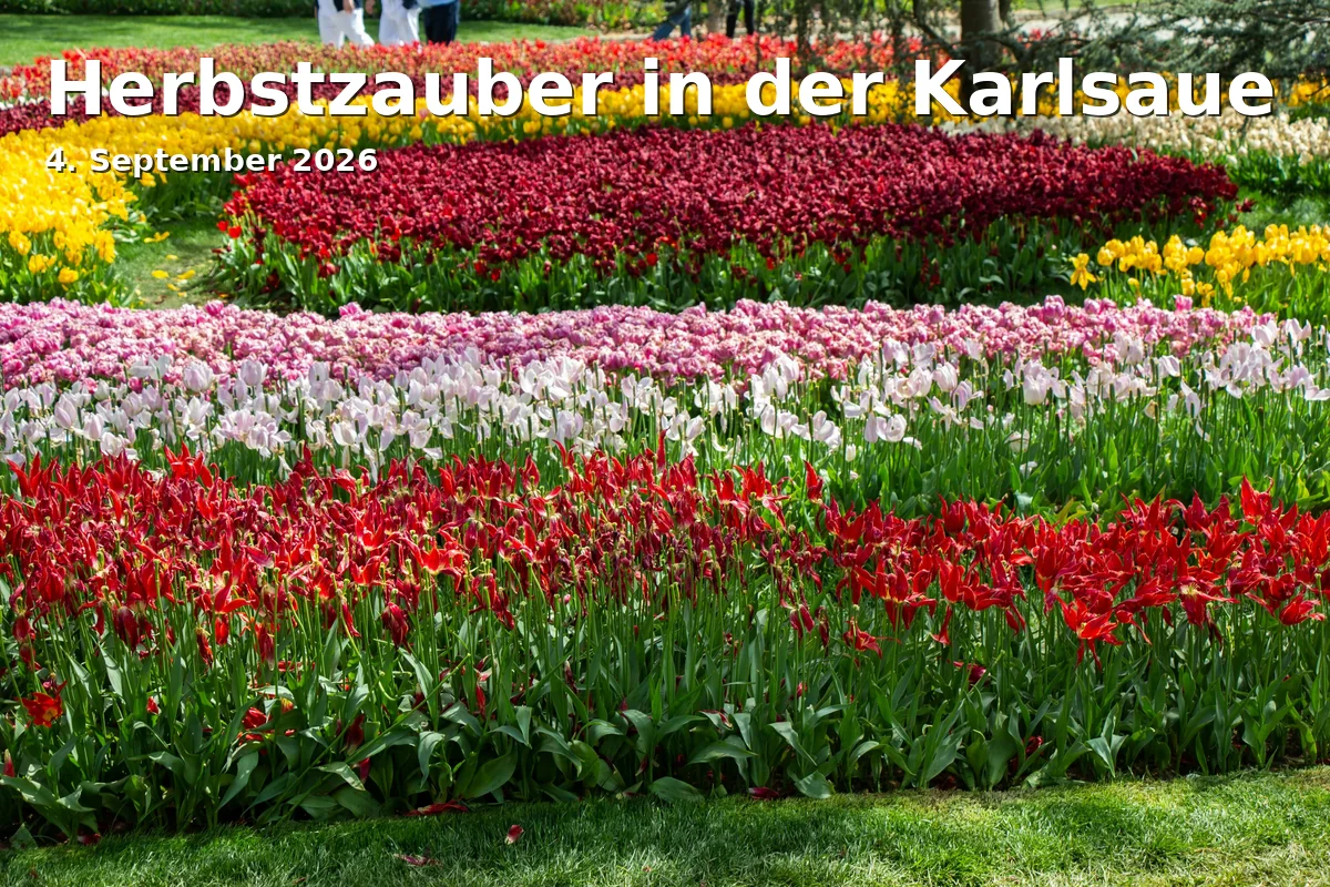 Herbstzauber in der Karlsaue
