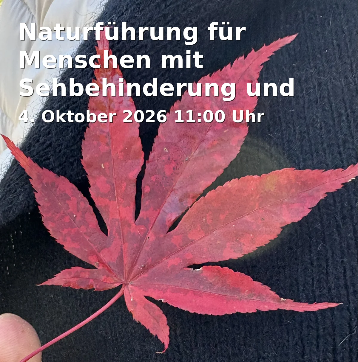Event: Nature Tour for People with Visual Impairments and Blind Individuals in Treffpunkt: Haus der Natur, An der Waldau 48, 53127 Bonn on 4. October 2026