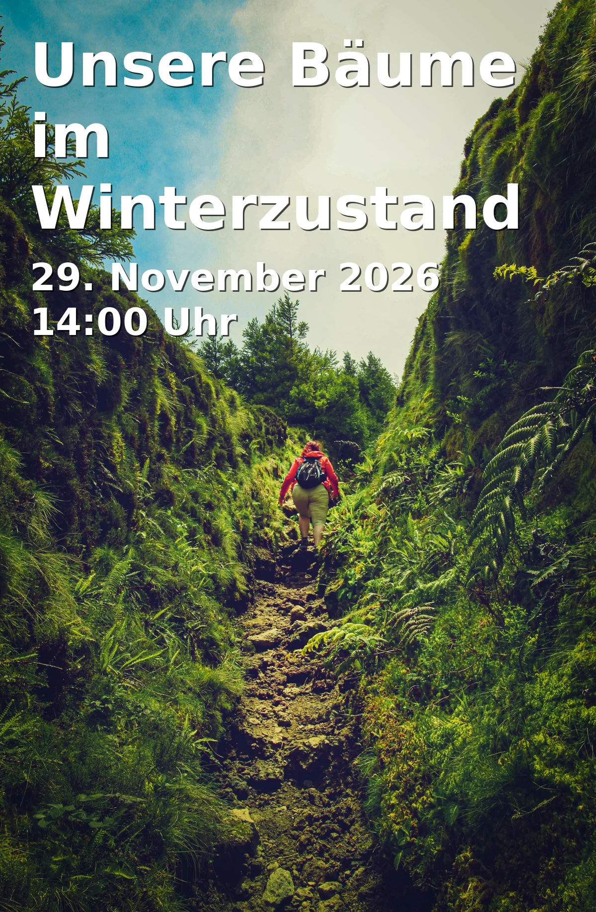 Event: Unsere Bäume im Winterzustand