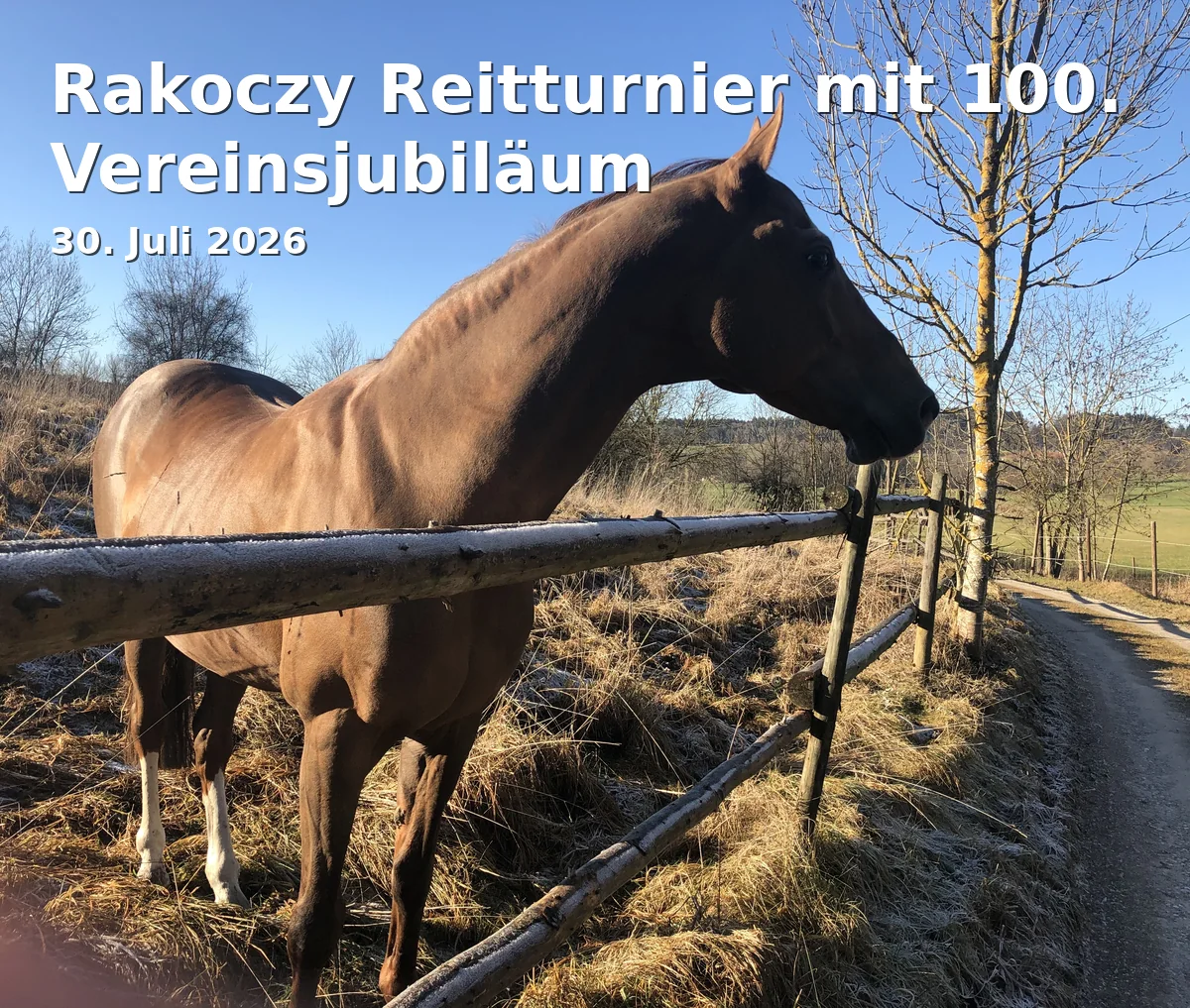Event: Rakoczy Riding Tournament with 100th Club Anniversary in Sportplatz Bad Kissingen, Sportstraße 10, 97688 Bad Kissingen on 30. July 2026