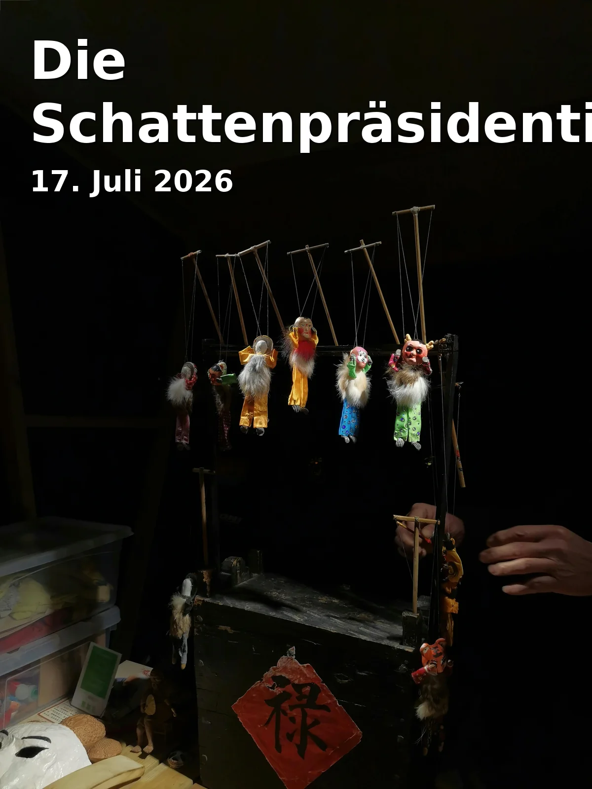 Die Schattenpräsidentinnen