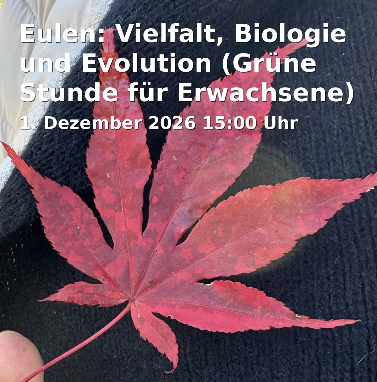 Event: Owls: Diversity, Biology and Evolution (Green Hour for Adults) in Breite Straße 13, 14467 Potsdam on 1. December 2026