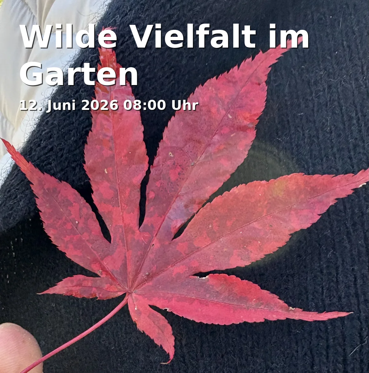 Event: Wilde Vielfalt im Garten in Botanischer Garten, Loschgestr. 1, 91054 Erlangen on 12. Juni 2026