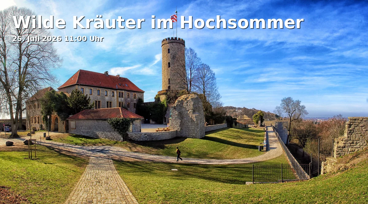 Event: Wild Herbs in High Summer in Biologische Station, Niederheide 63, 33659 Bielefeld on 25. July 2026