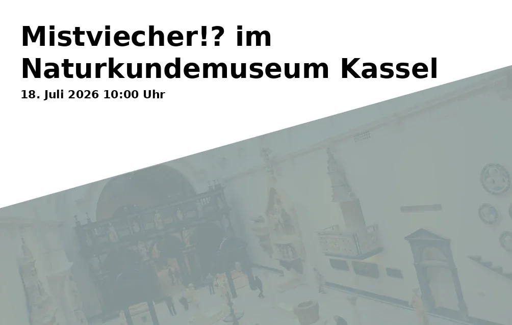 Event: Creepy Creatures!? at the Natural History Museum Kassel in Naturkundemuseum im Ottoneum, Steinweg 2, 34117 Kassel on 18. July 2026