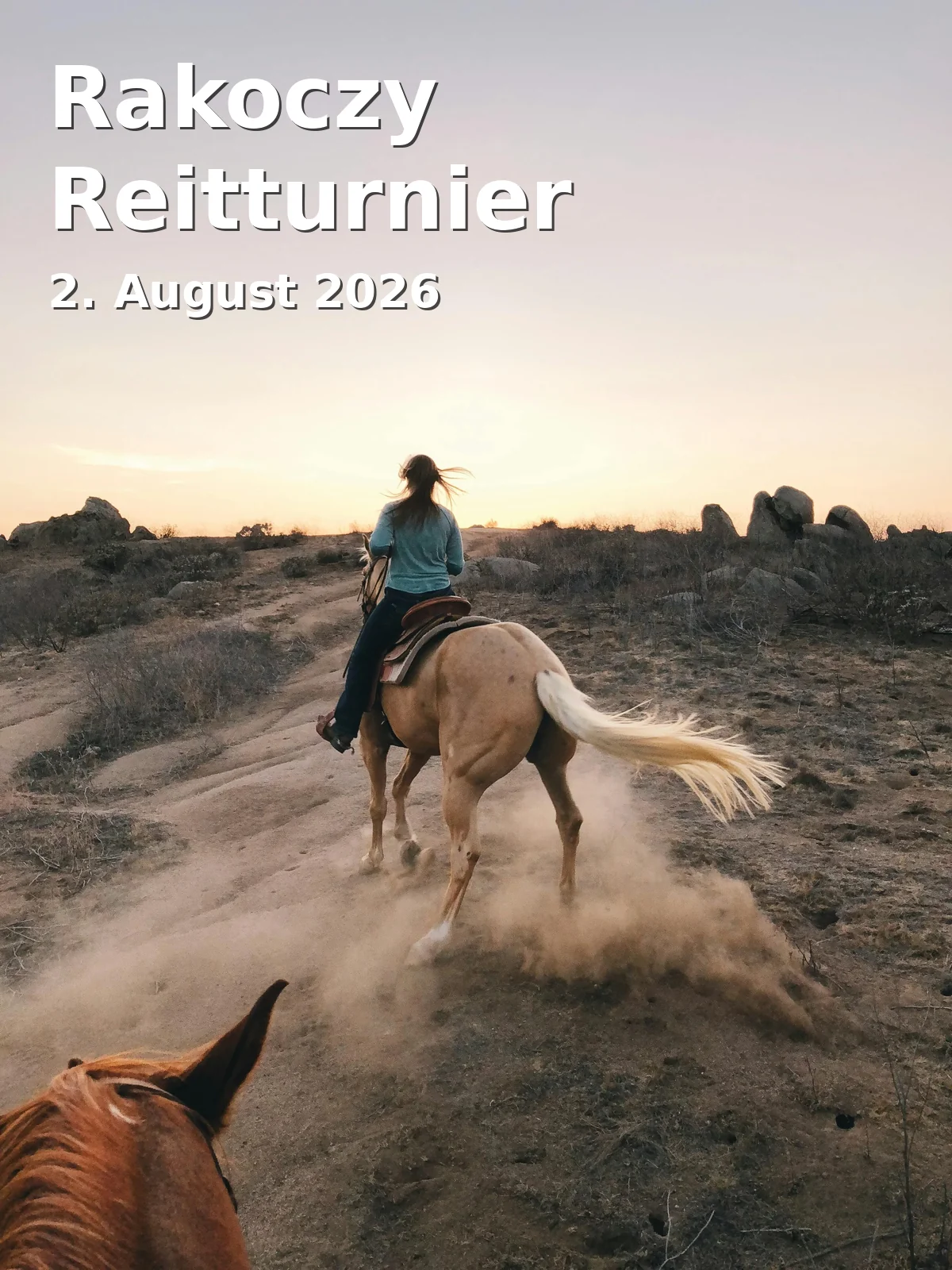 Event: Rakoczy Equestrian Tournament in Turnierplatz, In der Au, Bad Kissingen on 2. August 2026