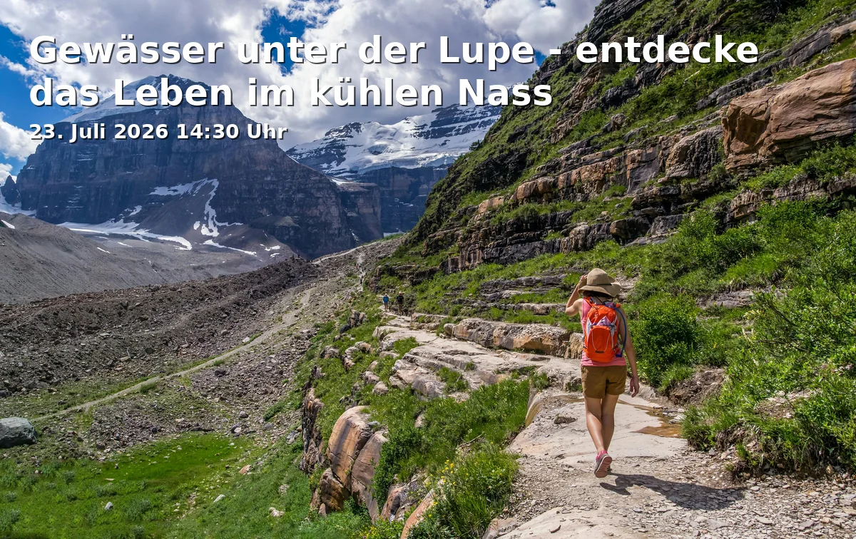 Gewässer unter der Lupe - entdecke das Leben im kühlen Nass