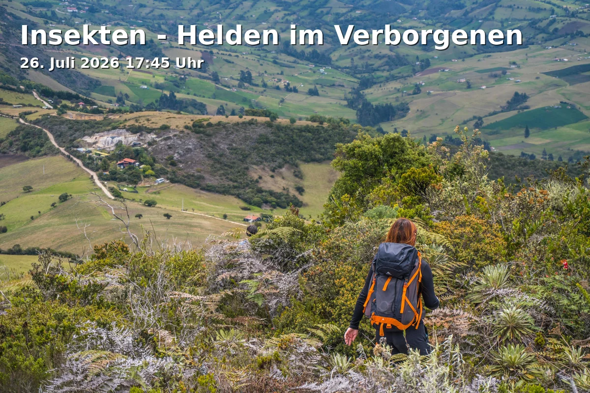 Event: Insects - Heroes in the Shadows in filmforum, Dellplatz 16, 47051 Duisburg on 26. July 2026
