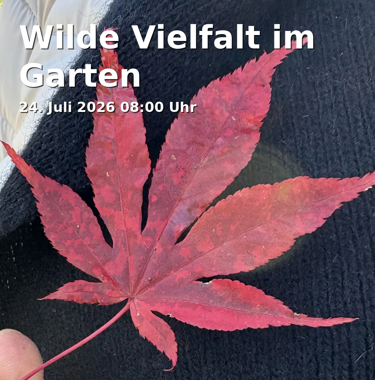 Event: Wild Diversity in the Garden in Botanischer Garten, Loschgestraße 1, 91054 Erlangen on 24. July 2026