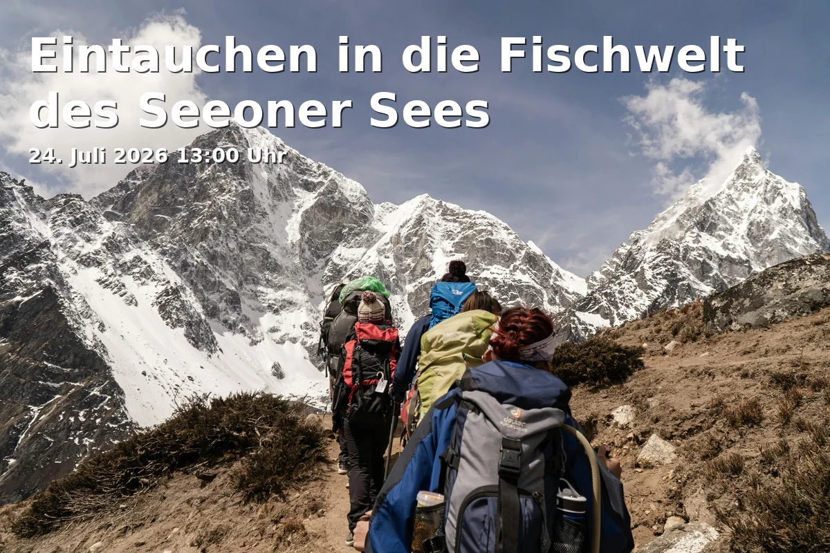 Eintauchen in die Fischwelt des Seeoner Sees