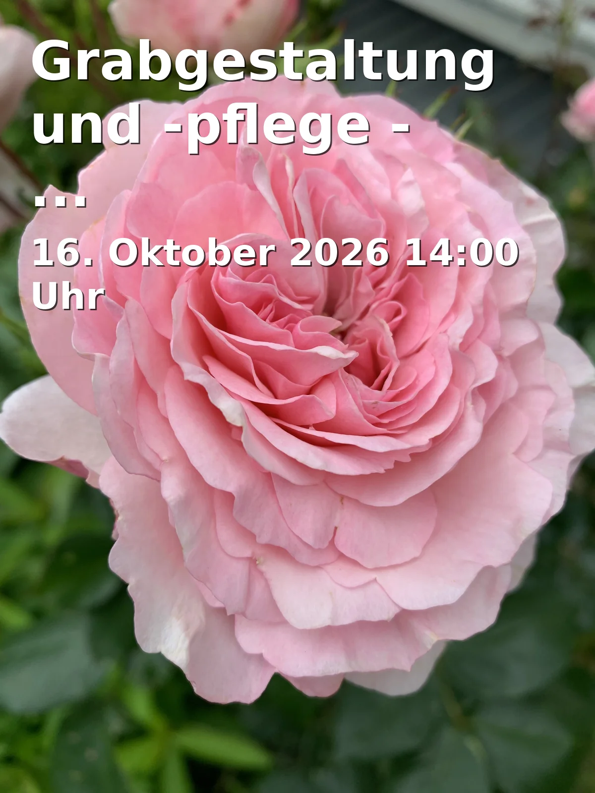 Event: Grabgestaltung und -pflege - Bestattungskultur in Hochschule Weihenstephan-Triesdorf, Am Staudengarten 9, 85354 Freising on 16. Oktober 2026