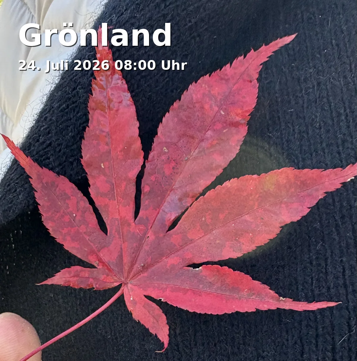 Event: Greenland in Creativhotel Luise, Sophienstraße 10, 91052 Erlangen on 24. July 2026