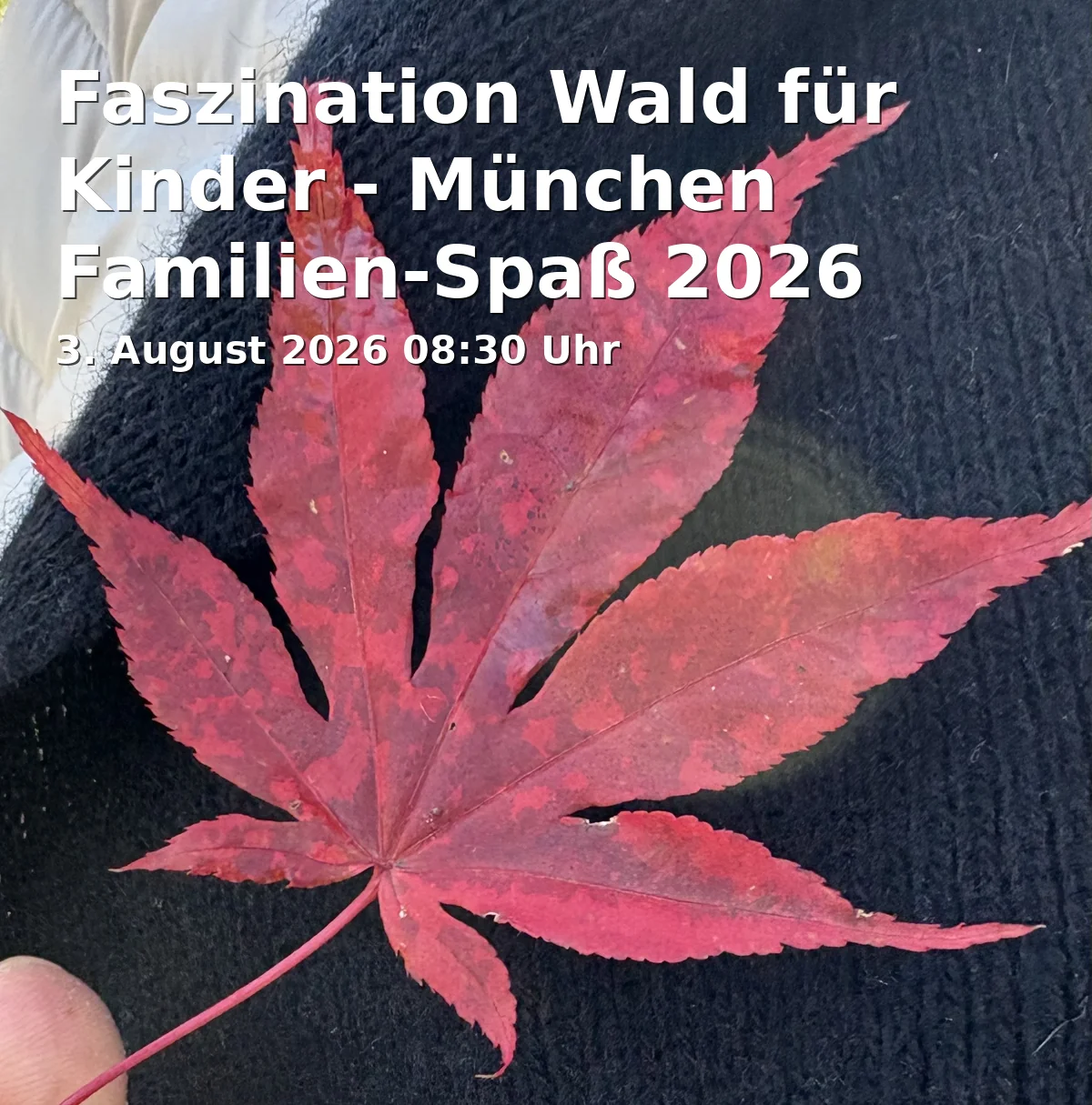 Fascination Forest for Kids - Munich Family Fun 2026