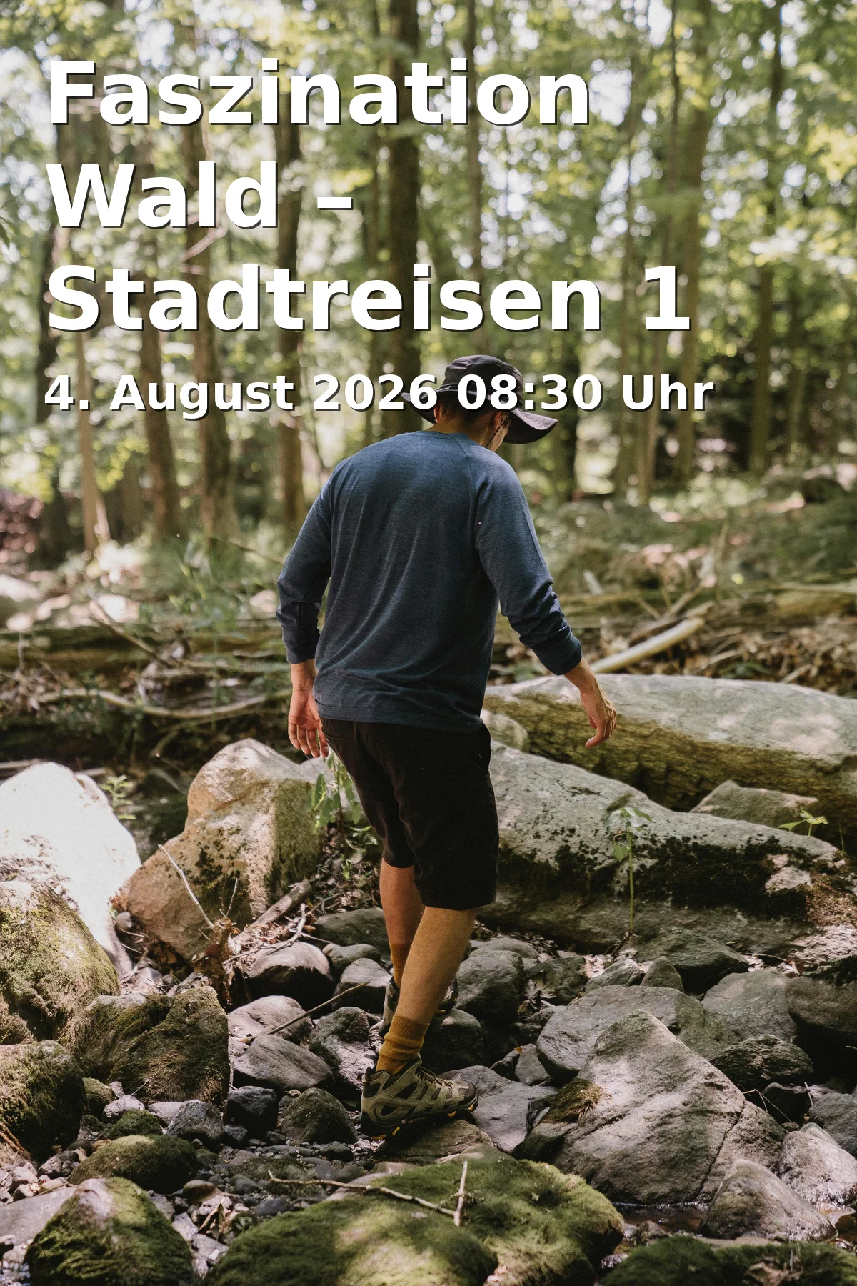 Event: Fascination Forest – City Trip 1 for Children in Munich in Sophienstraße 15, 80333 München on 4. August 2026