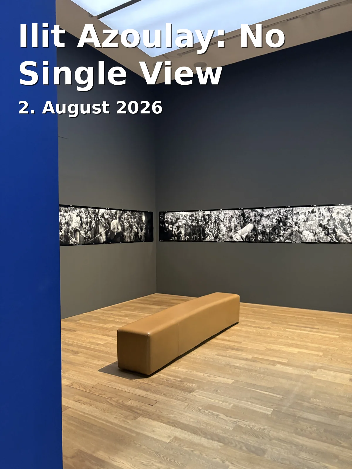Ilit Azoulay: No Single View