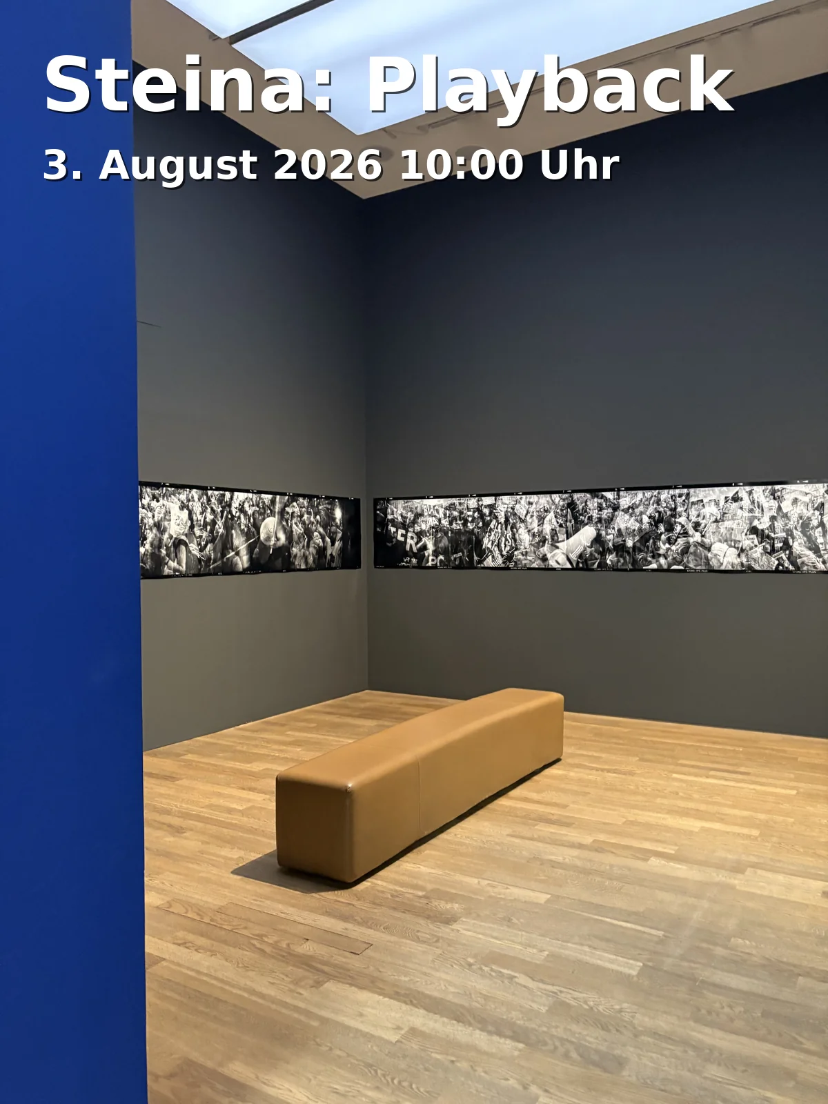 Event: Steina: Playback in Haus der Kunst, Prinzregentenstraße 1, 80538 München on 3. August 2026