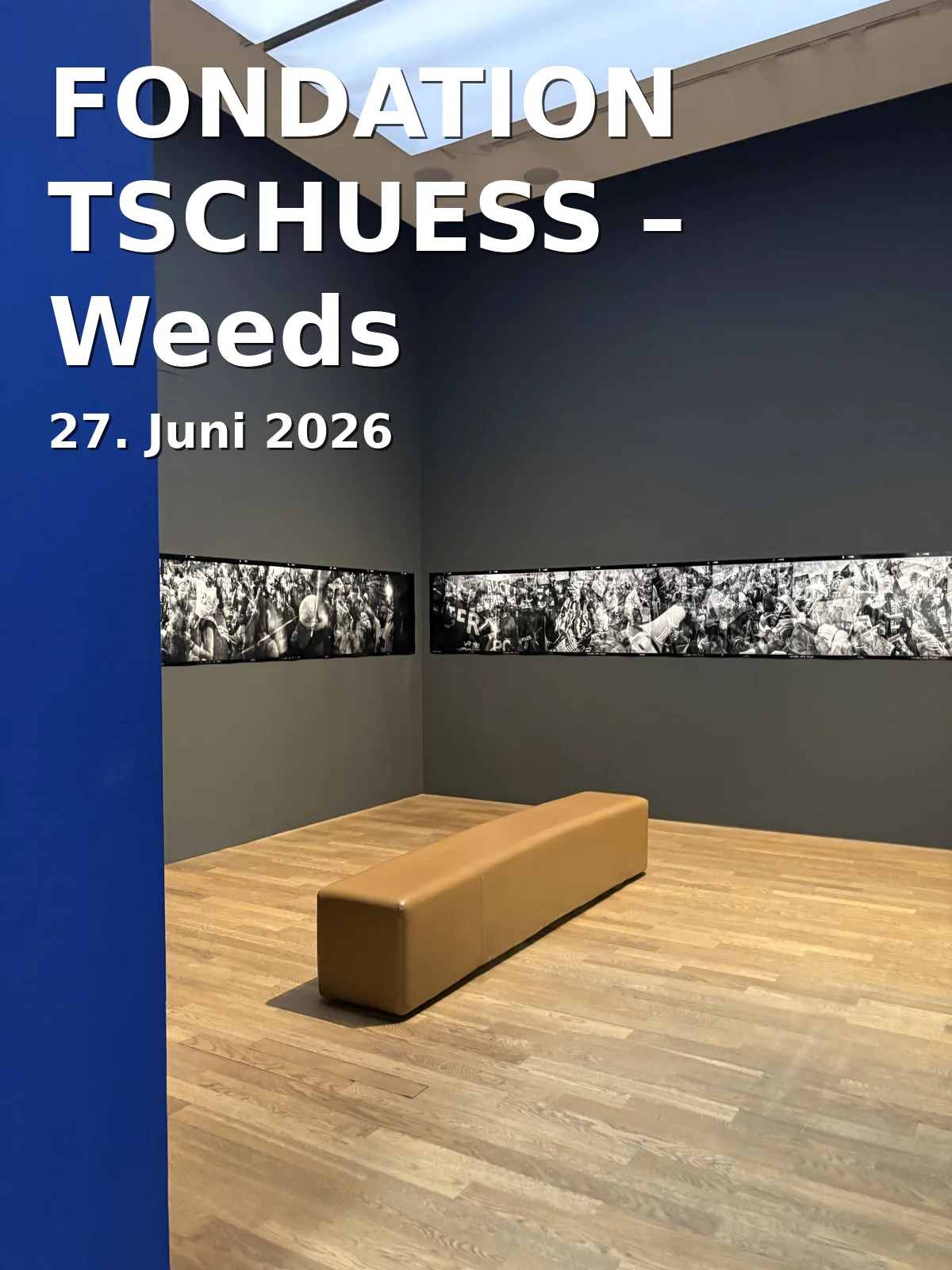 Event: FONDATION TSCHUESS – Weeds in Kunstverein Braunschweig, Lessingplatz 12, 38100 Braunschweig on 27. June 2026