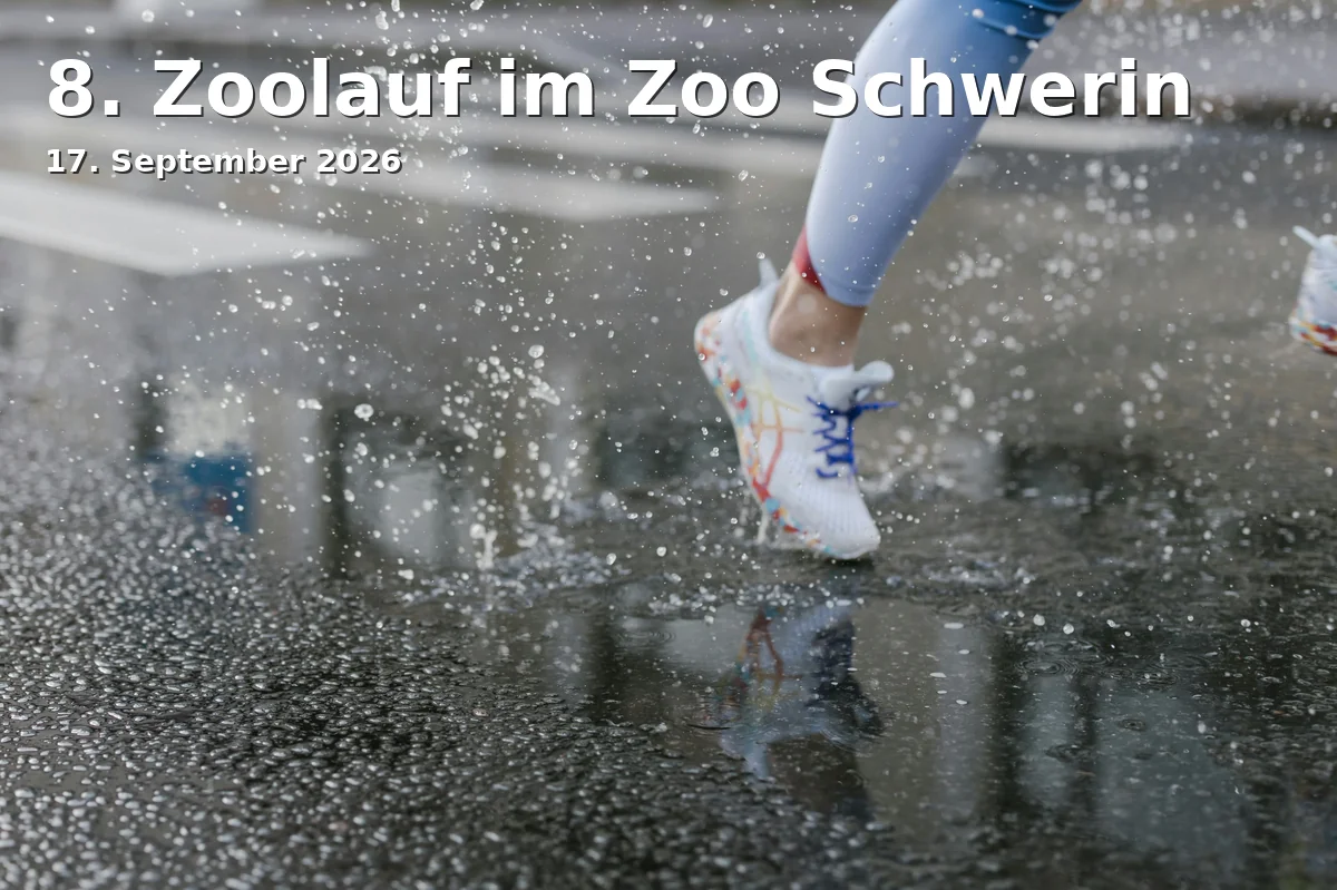 Event: 8. Zoolauf im Zoo Schwerin in Zoo Schwerin, An der Crivitzer Chaussee 1, 19061 Schwerin on 17. September 2026