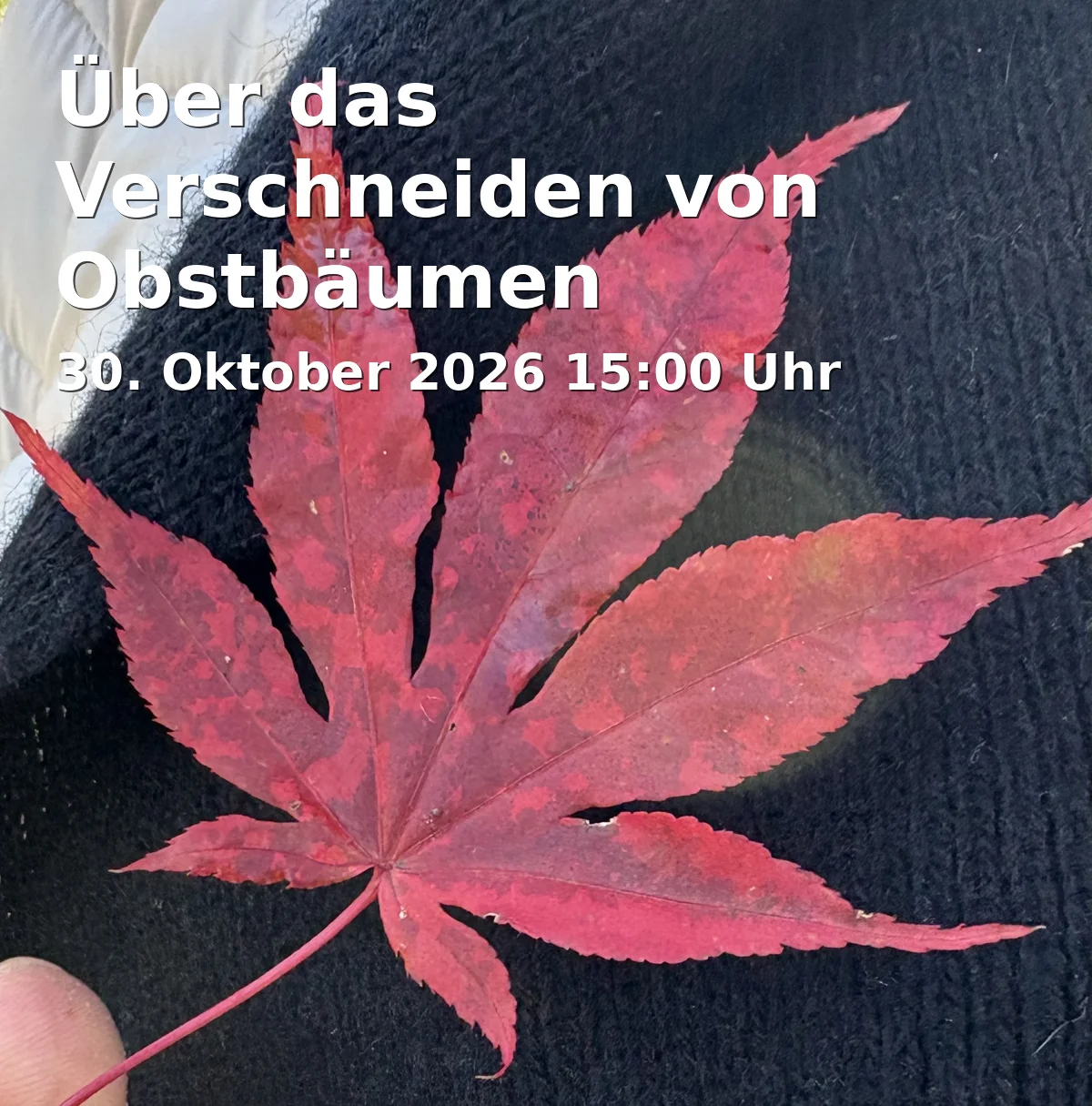 Event: On the Pruning of Fruit Trees in Rudolf Steiner Haus Bayreuth, Vortragssaal, Zeppelinstraße 18, 95444 Bayreuth on 30. October 2026