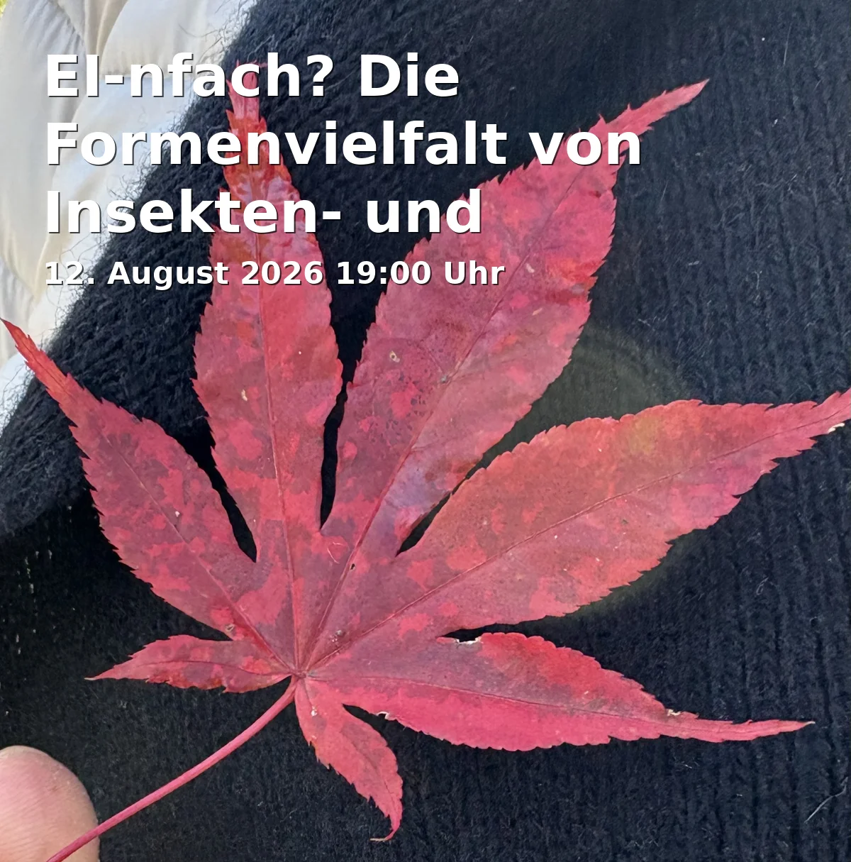 EI-nfach? The Diversity of Insect and Spider Eggs – Lecture by Swane Jung, M.Sc. (Rostock/Greifswald)