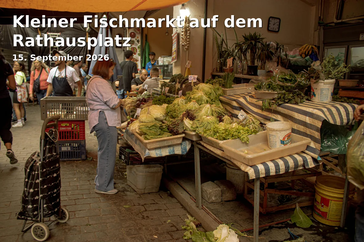 Event: Small Fish Market at the Town Hall Square in Rathausplatz, Bad Kissingen on 15. September 2026