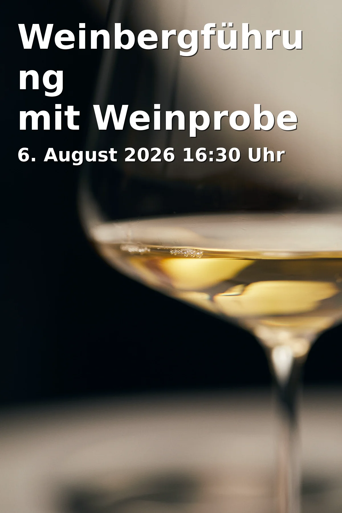 Event: Weinbergführung mit Weinprobe in Dorfbrunnen Schönau, Kellereiweg 19, 88131 Lindau on 6. August 2026