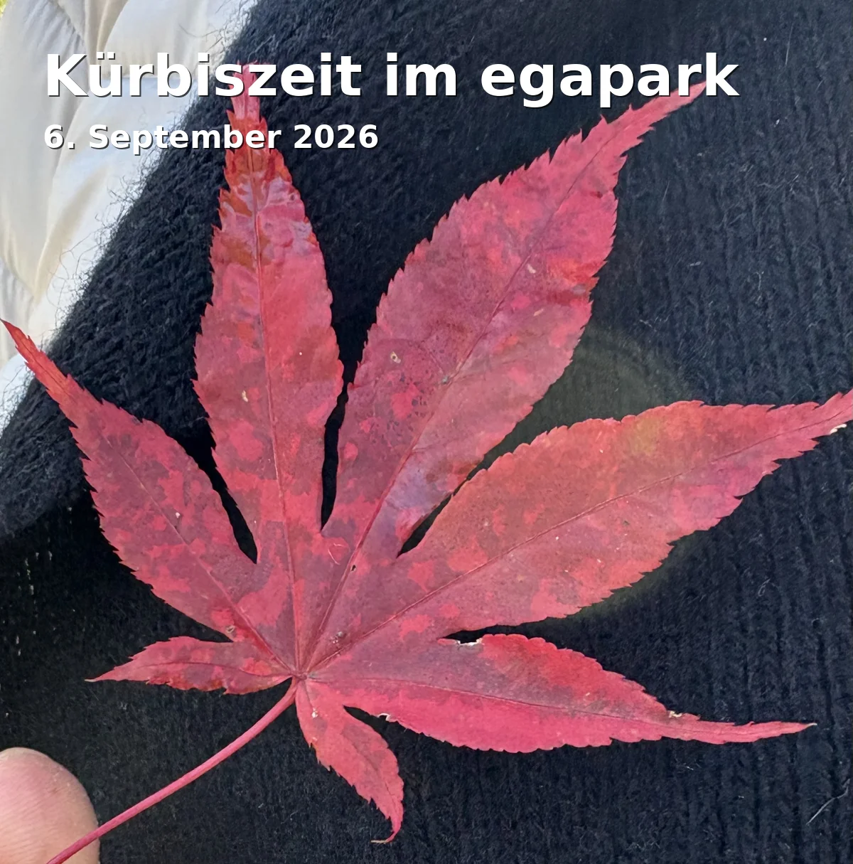 Event: Kürbiszeit im egapark