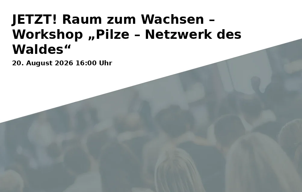 Event: JETZT! Raum zum Wachsen – Workshop „Pilze – Netzwerk des Waldes“ in Domizil des Bundes Gelsenkirchener Künstler, Bergmannstraße 53, Gelsenkirchen on 20. August 2026