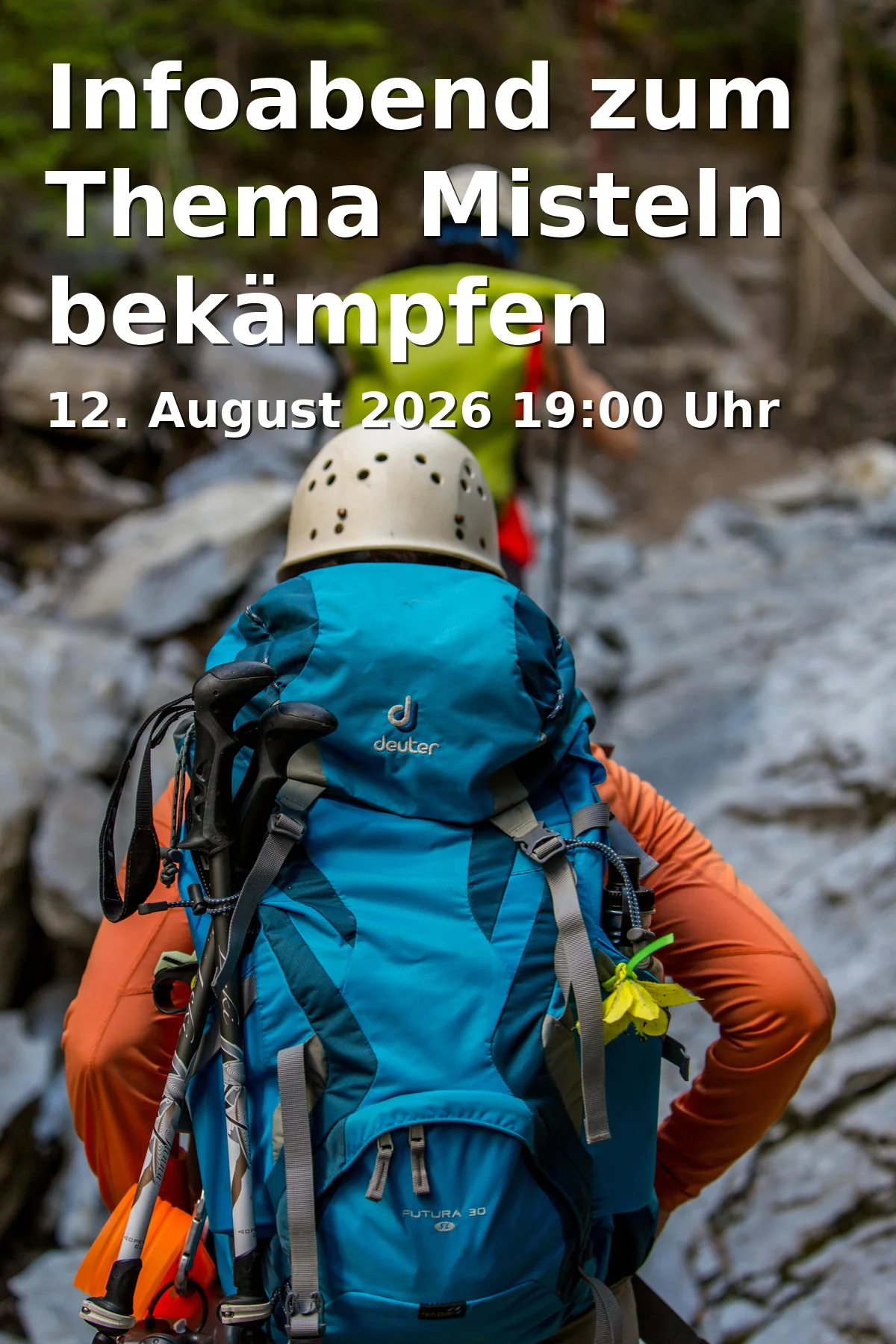 Event: Infoabend zum Thema Misteln bekämpfen