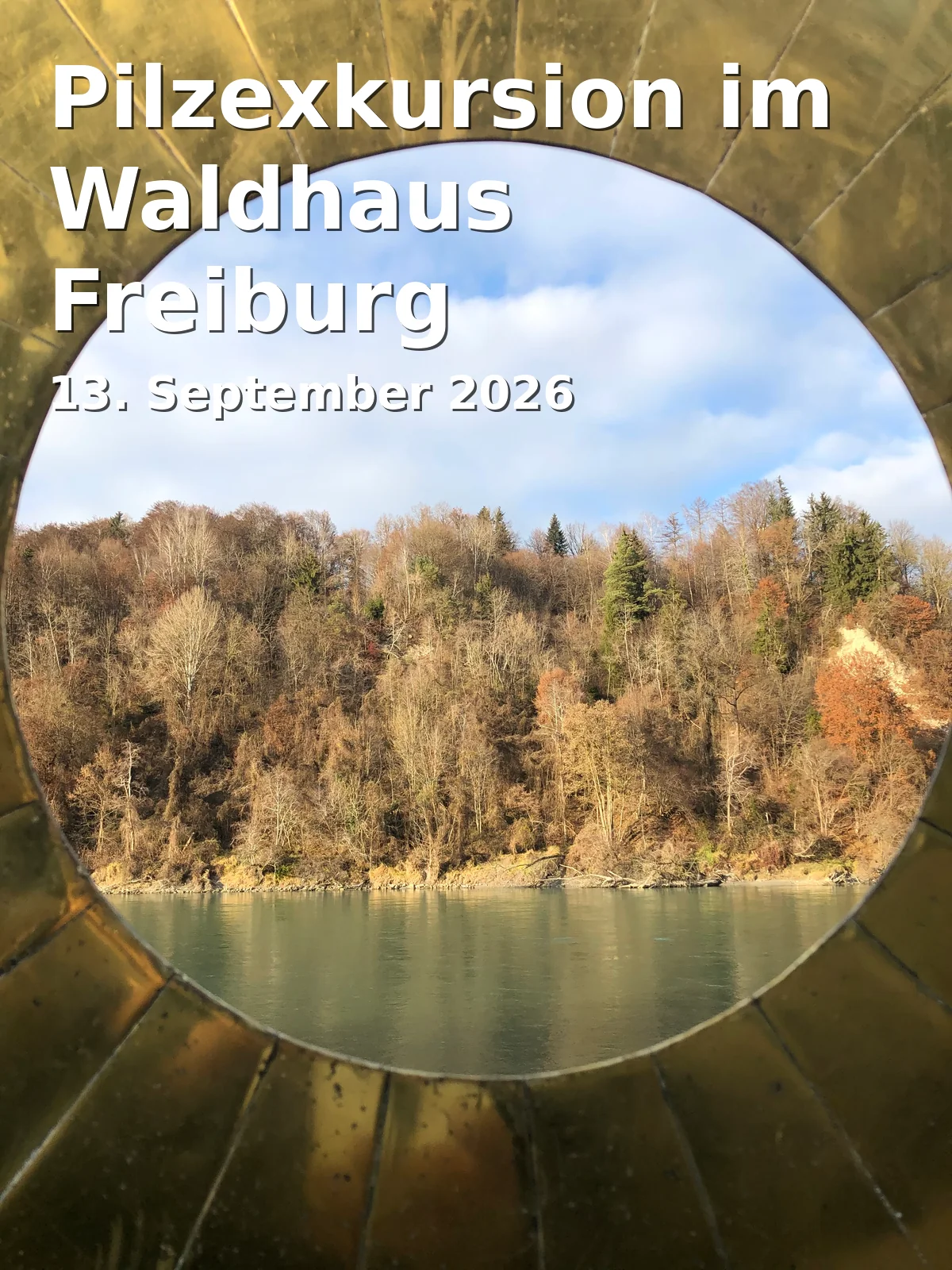 Event: Pilzexkursion im Waldhaus Freiburg in Waldhaus Freiburg, Wonnhaldestr. 6, 79100 Freiburg on 13. September 2026
