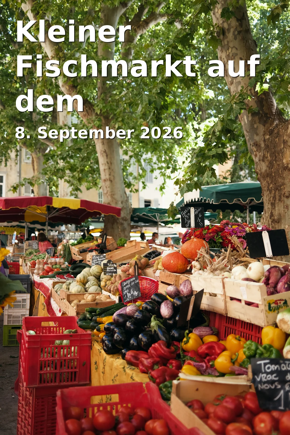 Event: Kleiner Fischmarkt auf dem Rathausplatz in Rathausplatz 1, Bad Kissingen on 8. September 2026