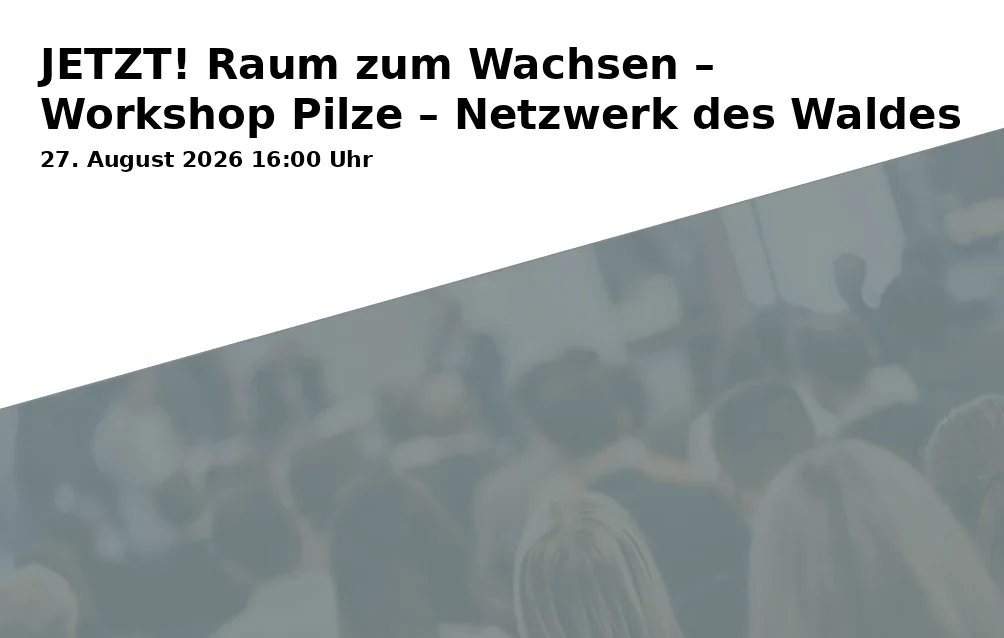 Event: JETZT! Raum zum Wachsen – Workshop Pilze – Netzwerk des Waldes in Domizil des Bundes Gelsenkirchener Künstler, Bergmannstraße 53, 45886 Gelsenkirchen on 27. August 2026