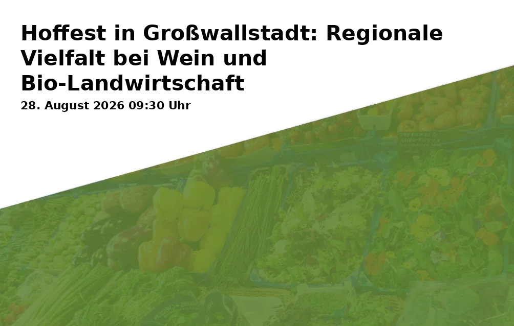 Event: Hoffest in Großwallstadt: Regionale Vielfalt bei Wein und Bio-Landwirtschaft in Weingut Günther, Flurbereinigungsweg 1, 63868 Großwallstadt on 28. August 2026