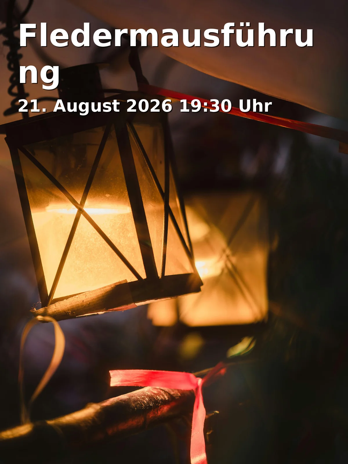 Event: Fledermausführung in Baumwipfelpfad Steigerwald, Radstein 2, 96157 Ebrach on 21. August 2026