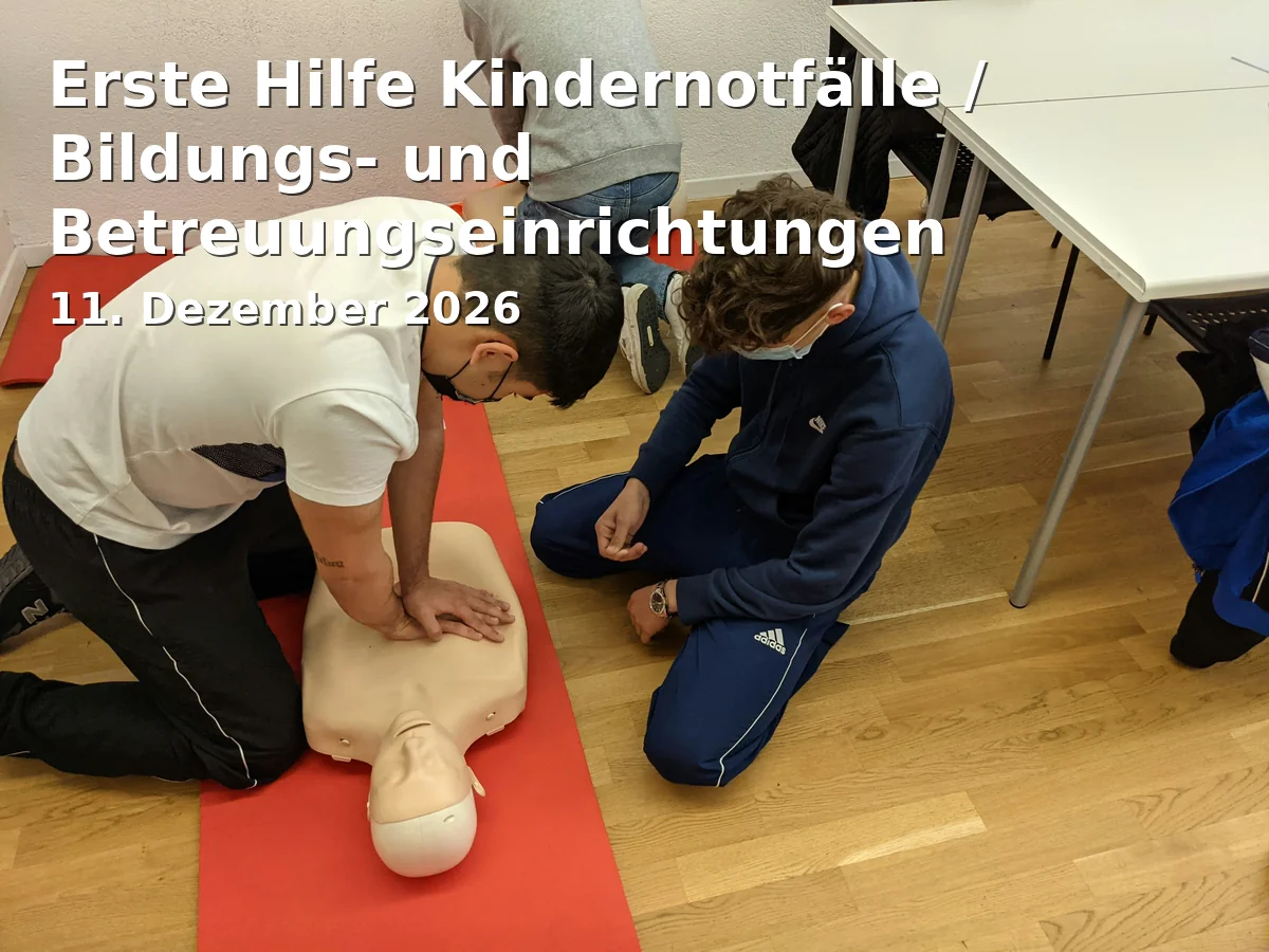 Event: Erste Hilfe Kindernotfälle / Bildungs- und Betreuungseinrichtungen Malteser Hilfsdienst e.V. in Johannes-Kepler-Straße 11 d, 94315 Straubing on 11. Dezember 2026