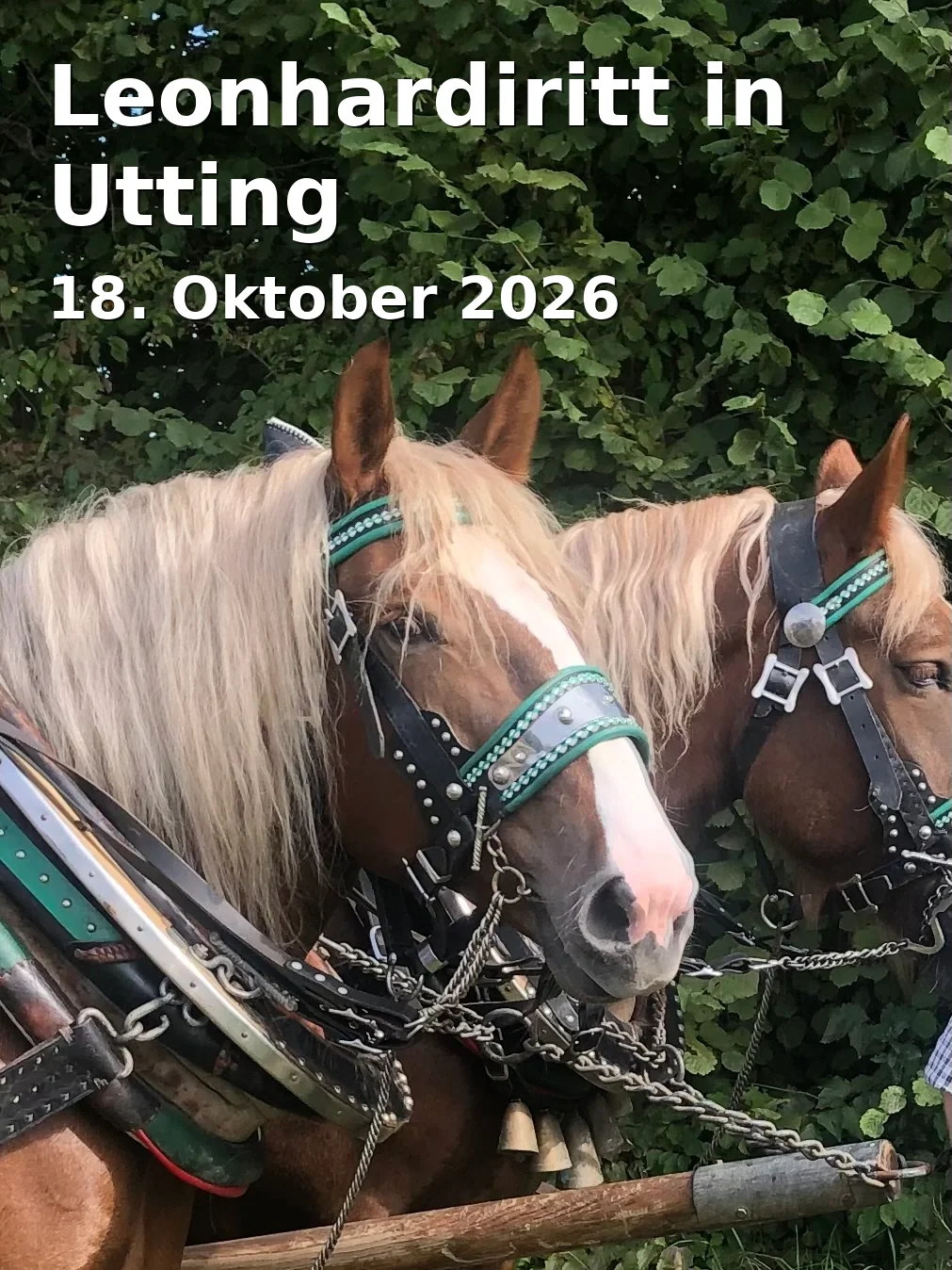 Event: Leonhardiritt in Utting in St. Leonhard, Dießener Straße, Ammersee on 18. Oktober 2026