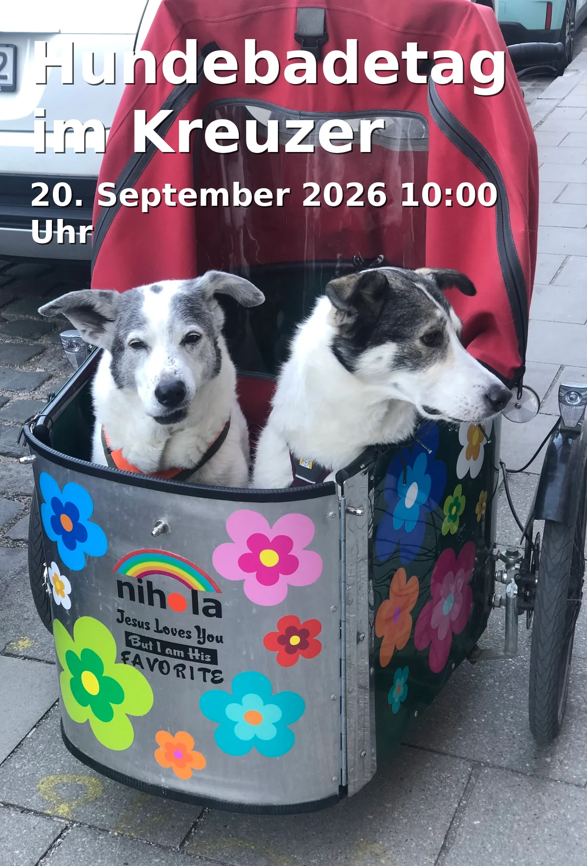 Event: Hundebadetag im Kreuzer