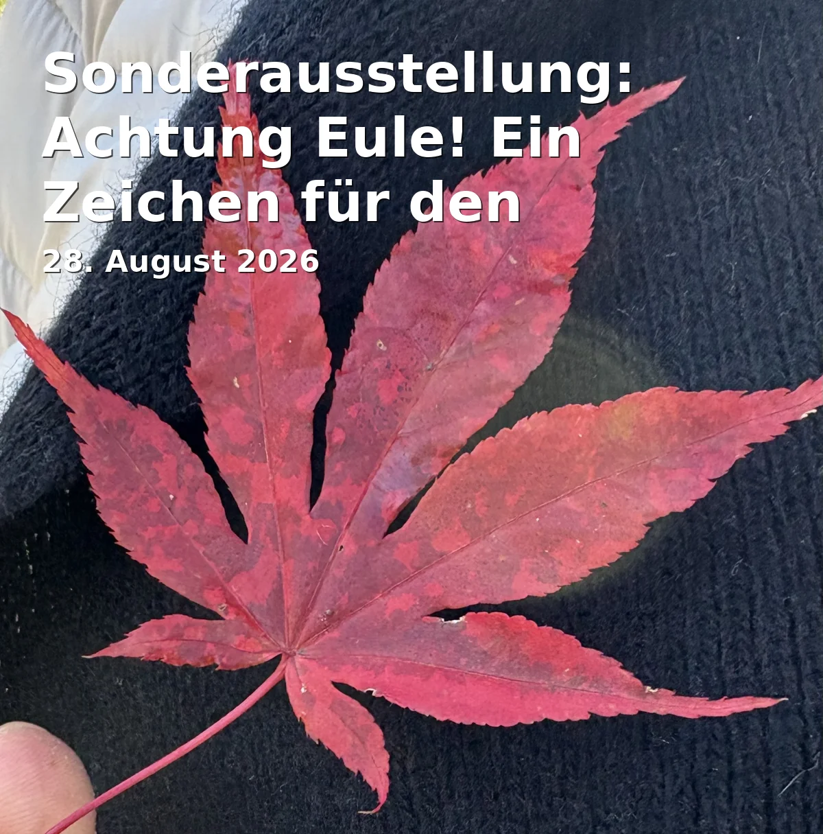 Event: Sonderausstellung: Achtung Eule! Ein Zeichen für den Naturschutz