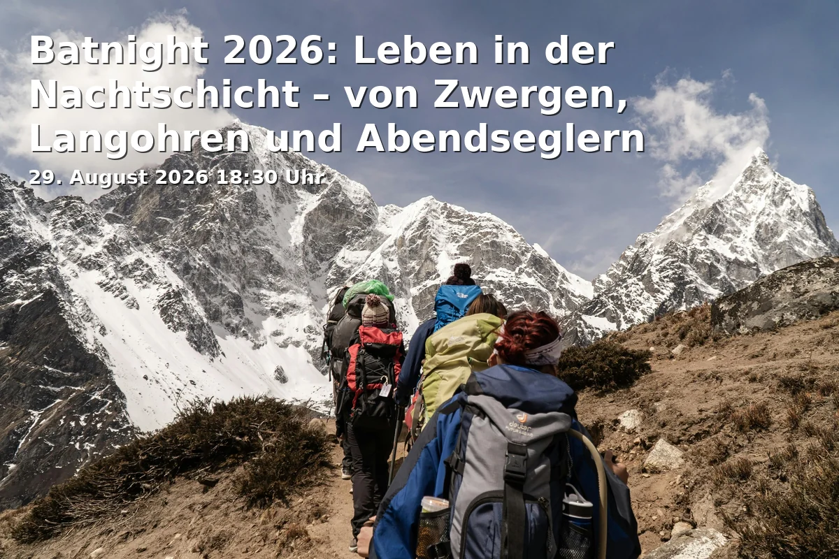 Event: Batnight 2026: Leben in der Nachtschicht – von Zwergen, Langohren und Abendseglern in Besucher-Informations-Zentrum auf der Sparrenburg (BIZ), Am Sparrenberg 40, 33602 Bielefeld on 29. August 2026