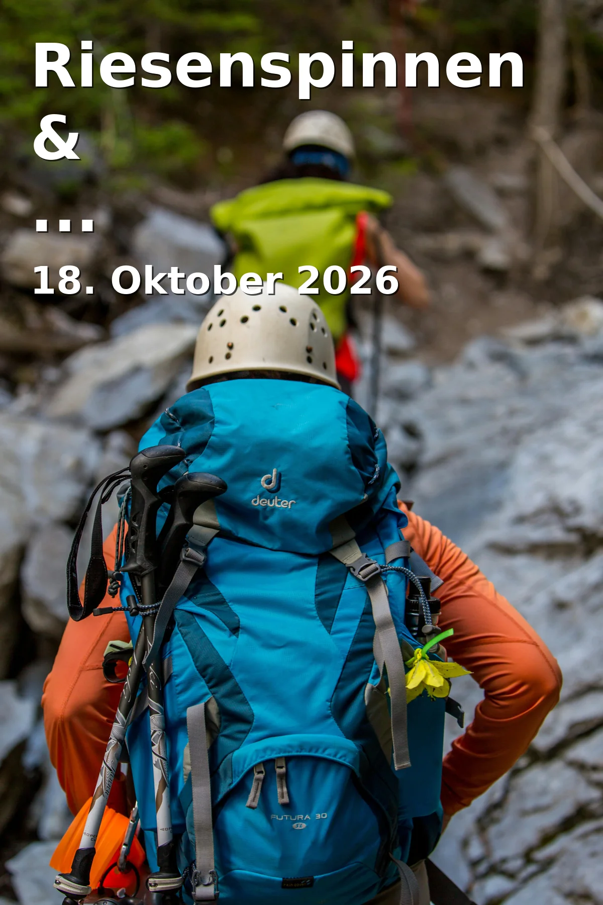 Event: Riesenspinnen & Insektenausstellung in Friedrichsforum, Opernstraße 22, 95444 Bayreuth on 18. Oktober 2026