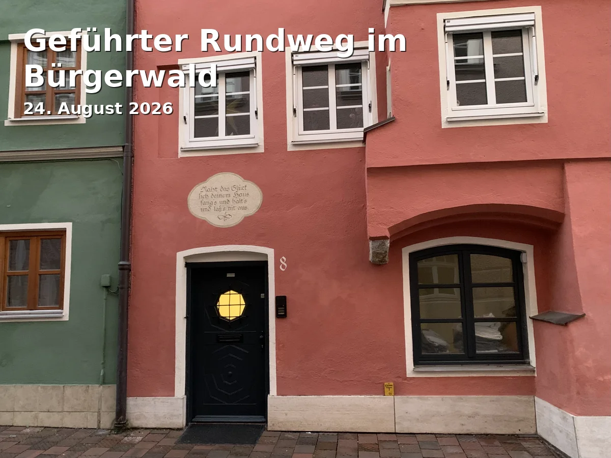 Geführter Rundweg im Bürgerwald