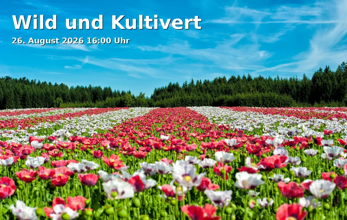 Event: Wild und Kultivert in Botanischer Garten, Am Kahlenberg 16, 33617 Bielefeld on 26. August 2026