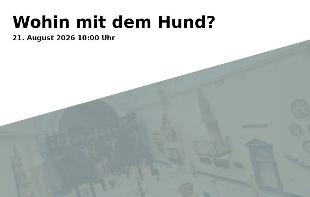 Event: Wohin mit dem Hund?