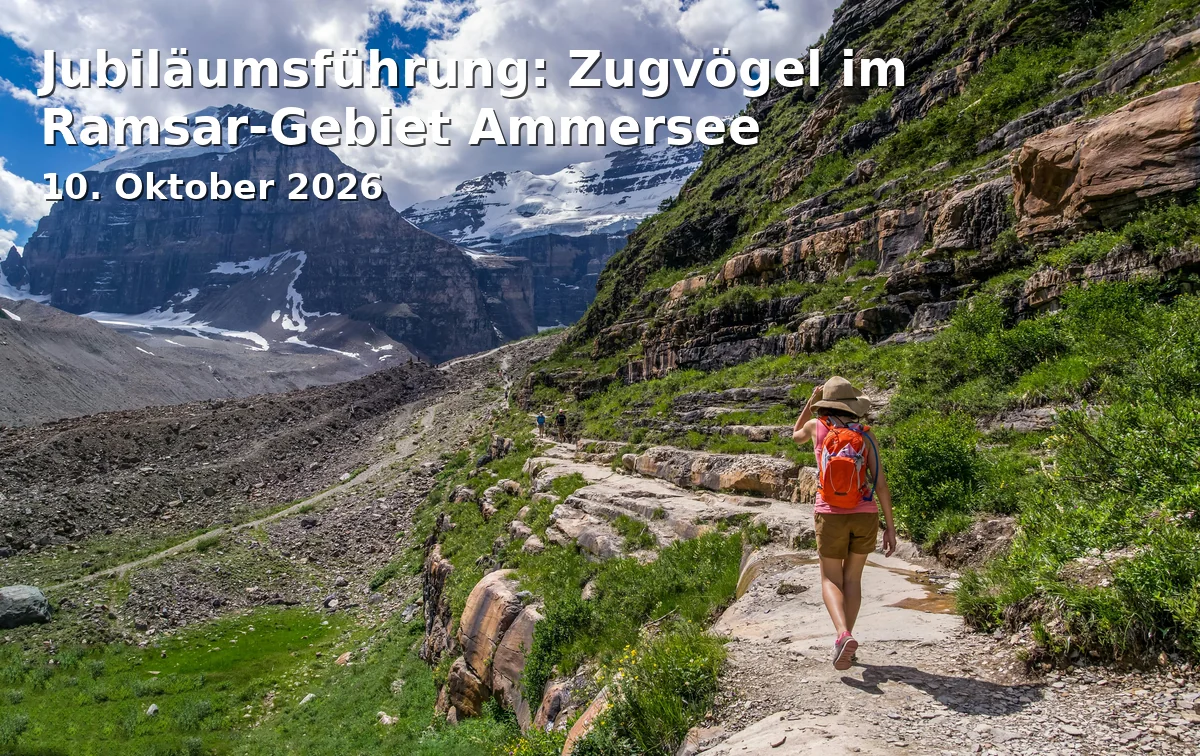 Event: Jubiläumsführung: Zugvögel im Ramsar-Gebiet Ammersee in Südende des Ammersees, Ammersee on 10. Oktober 2026