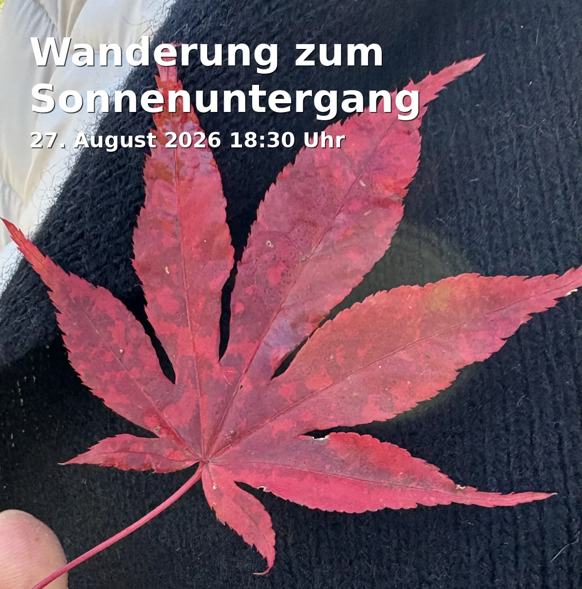 Event: Wanderung zum Sonnenuntergang