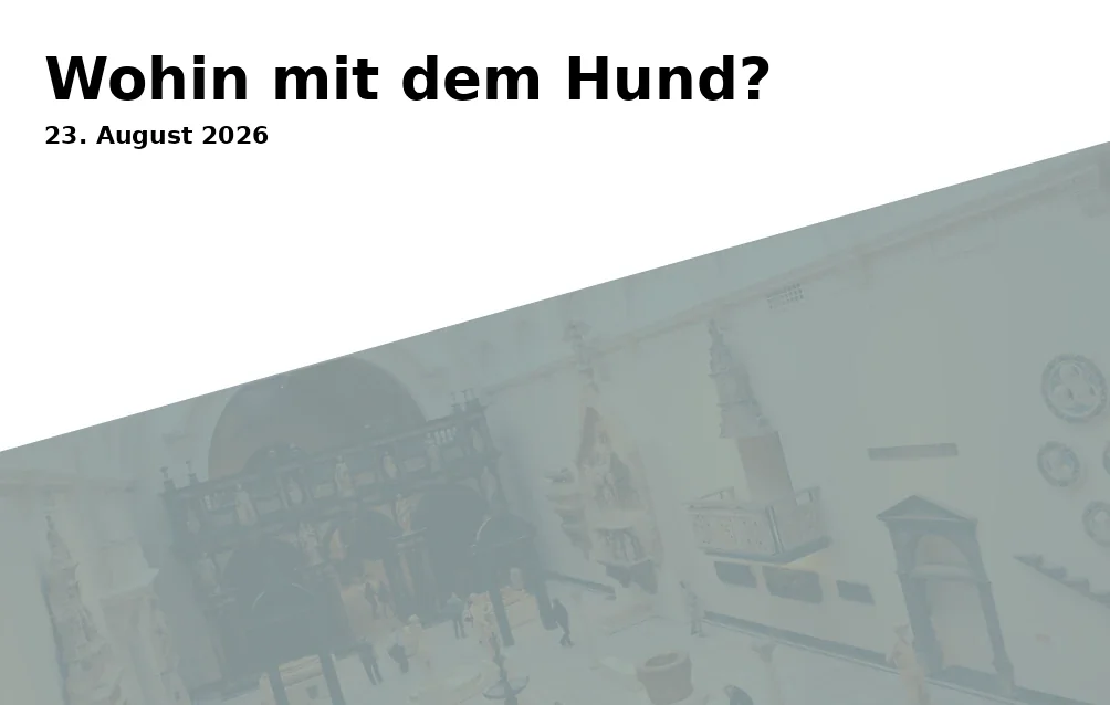 Event: Wohin mit dem Hund?
