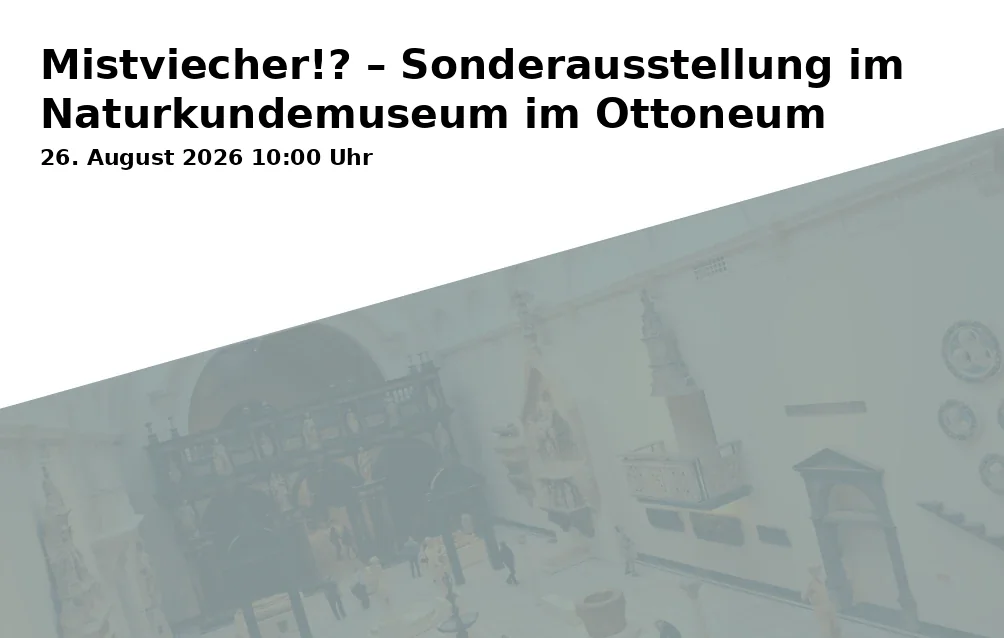 Event: Mistviecher!? – Sonderausstellung im Naturkundemuseum im Ottoneum in Naturkundemuseum im Ottoneum, Steinweg 2, 34117 Kassel on 26. August 2026