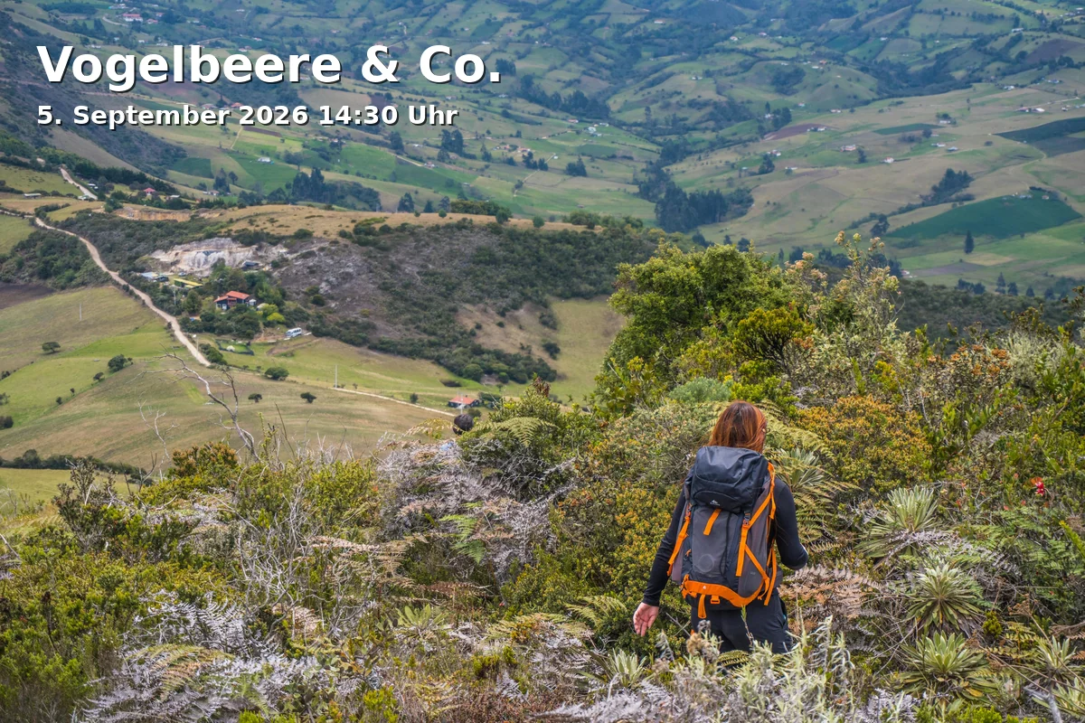 Event: Vogelbeere & Co. in Haller Weg, Endstation Schildhof, 33617 Bielefeld on 5. September 2026