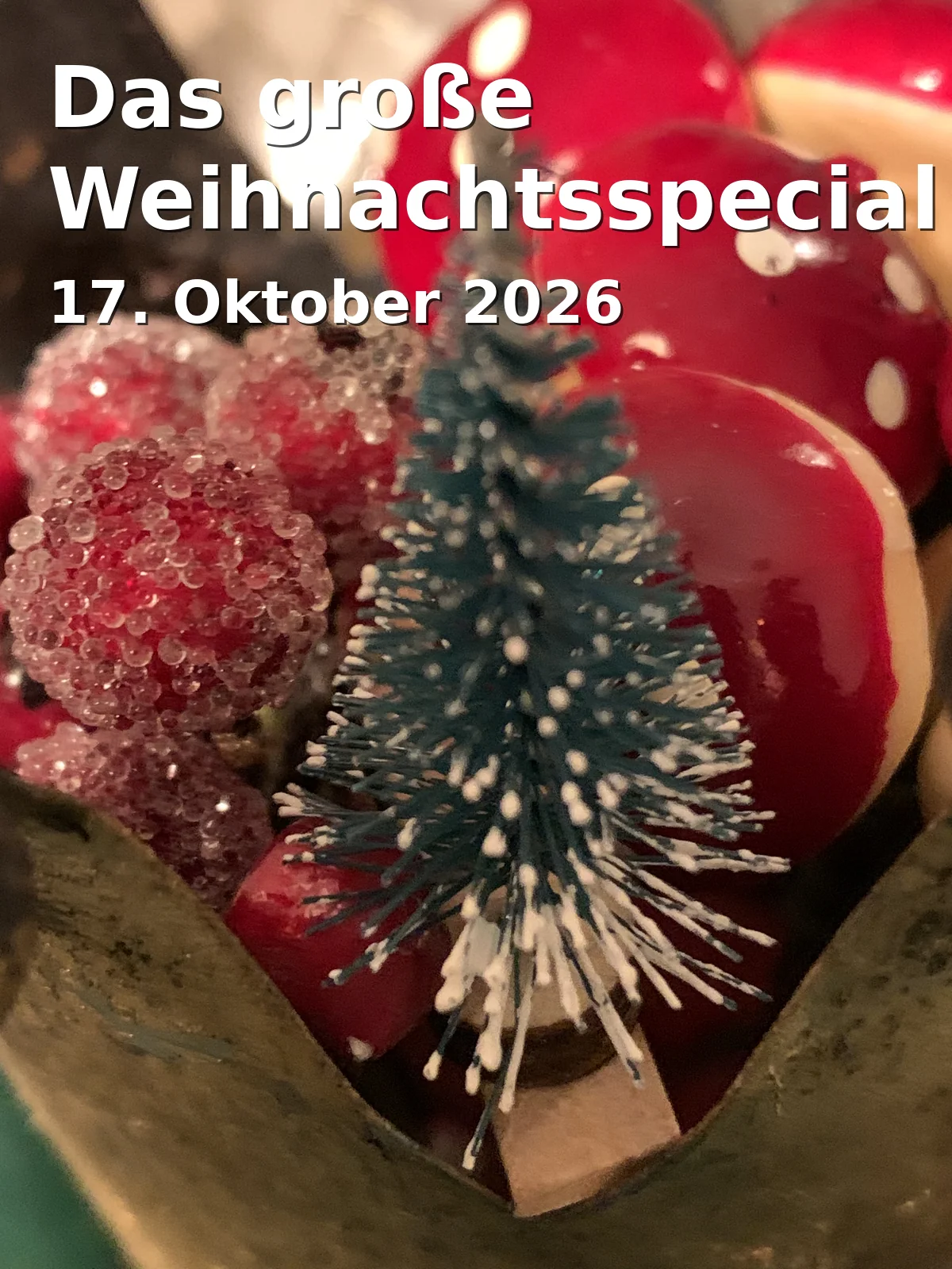 Event: Das große Weihnachtsspecial in Edwin-Scharff-Haus, Silcherstraße 40, 89231 Neu-Ulm on 17. Oktober 2026