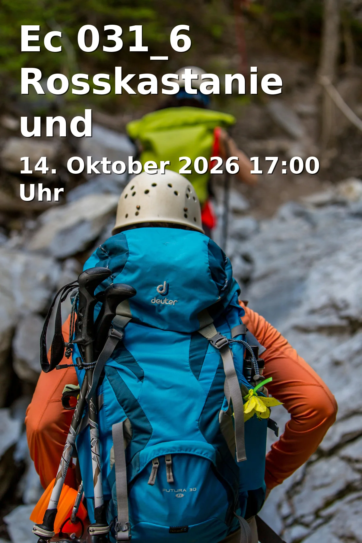 Event: Ec 031_6 Rosskastanie und Edelkastanie: Kennenlernen & nutzen in Alter Kindergarten Eckersdorf - VHS Eckersdorf, Kreativwerkstatt, Rathausstraße 19, 95488 Eckersdorf on 14. Oktober 2026